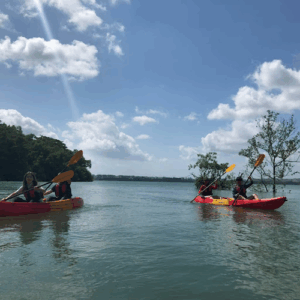 Adventure Paddlers