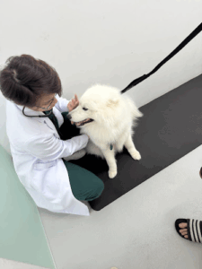 Animal Holistic Centre