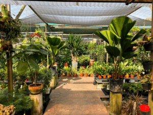 Bedok Garden & Landscape Pte Ltd