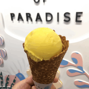 Birds of Paradise Gelato Boutique