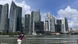Central Real Estate Pte Ltd