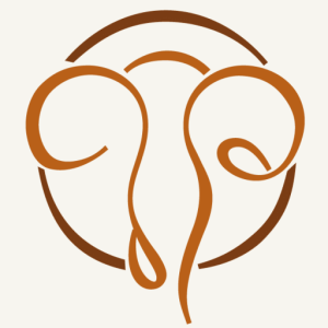 Centre for Endometriosis and Fibroids