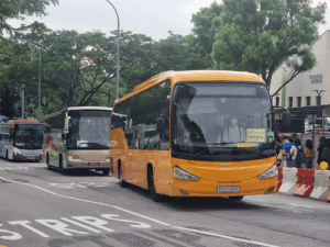 Comfortdelgro Bus