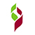 D'Sol Pte Ltd