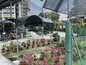 Eco-Scape