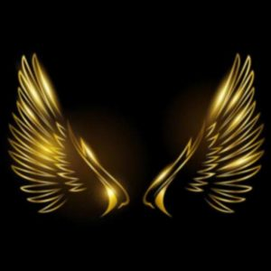 Emcee Raveen Thedj