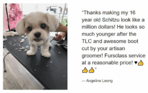 Fursclass Pet Grooming Salon