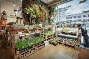 Green Chapter Pte Ltd