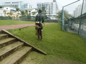 Green Environmental Landscaping Pte Ltd