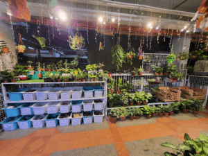 Green Fingers Aquarist