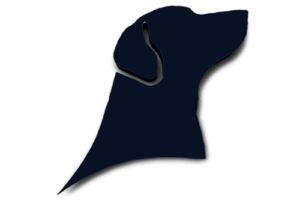 Hopefordogs Canine Training