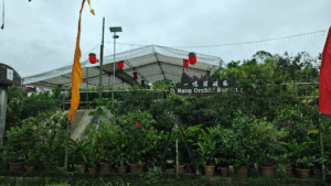 It Meng Landscape & Construction