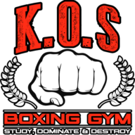 King of Strength Boxing Gym