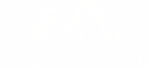 Mediashock