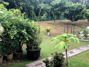 Nature Landscapes Pte Ltd