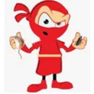 Ninja Pest Control Singapore