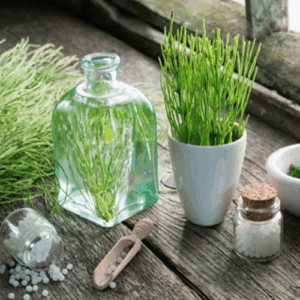 P & L Homeopathic Clinic