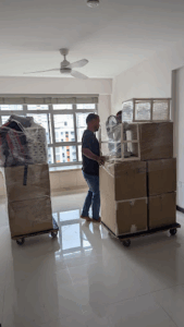 Panda Movers Singapore
