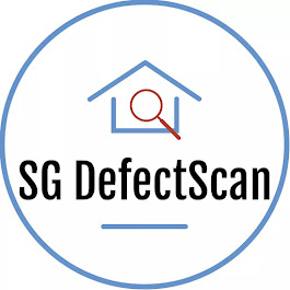 Sg Defectscan