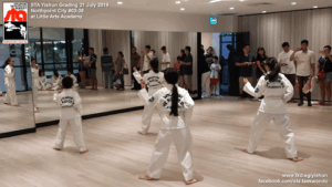 Singapore Taekwon-do Academy