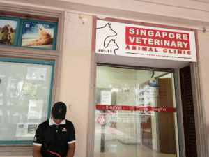SingVet Animal Clinic