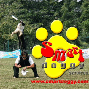 Smartdoggy Academy