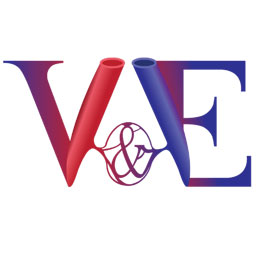 The Vascular and Endovascular Clinic