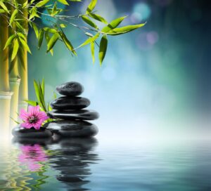 Loshi Feng Shui Consultancy (Master Jeff Lo)